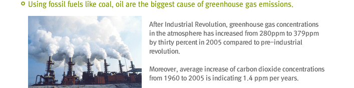 Using fossil fuels like coal, oil are the biggest cause of greenhouse gas emissions.