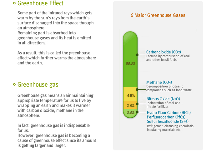 Greenhouse Effect